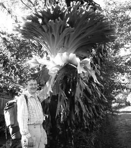 Fraser-Jenkins, Christopher Roy