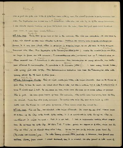 Original Digitaal object not accessible