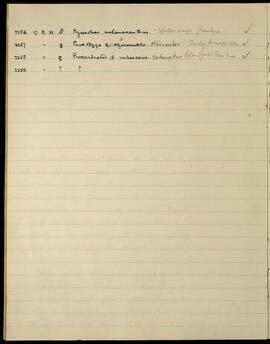 Specimen records 2256–2259, 17/08/1933