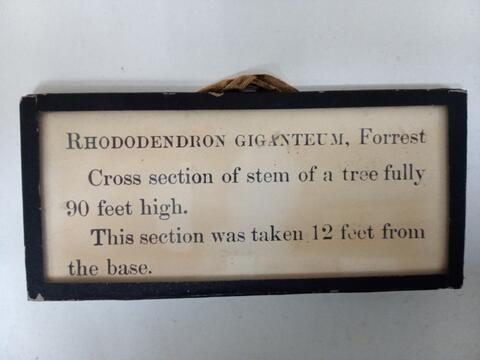 Original Digital object not accessible