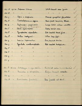Bird specimen list (entries 1817–1834), 27–28/05/1933