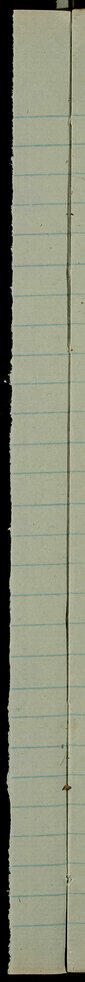 Blank lined diary page
