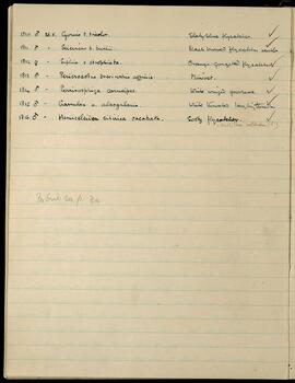 Bird species notes, entries 1810-1816