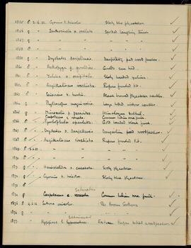 Bird specimen records, 2–4 June 1933
