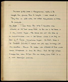 Kangchukka (Langte Chu): Notes on Primula specimens 3203, 3249, and Chundebi 3052