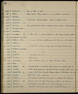 Primula collection notes and specimens 19185–19392