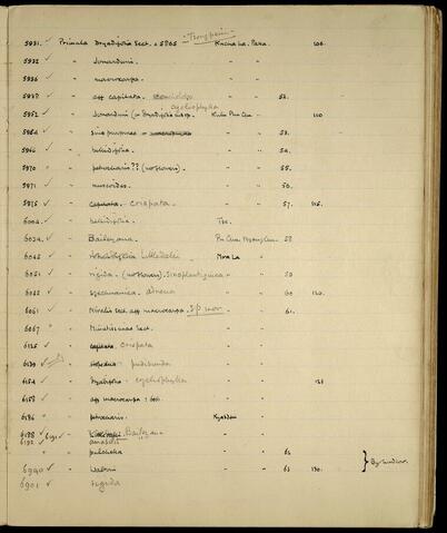 Original Digital object not accessible