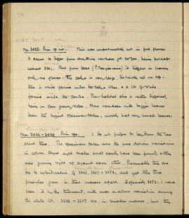 Primula specimen notes at 13,600 ft, Nos. 3432-3438