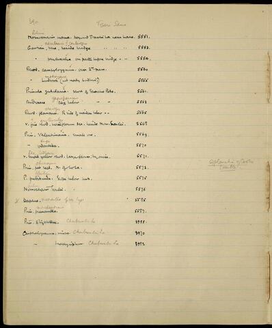 Original Digital object not accessible